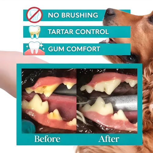 GetPurrly - Water Additive