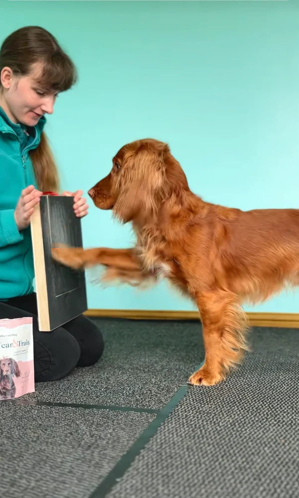 Why dog owners choose the GetPurrly Scratch Board